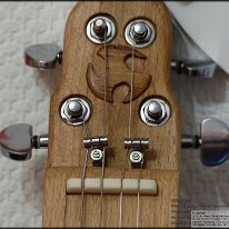 20_4String_Kopf