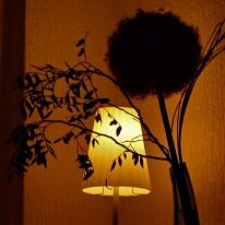 NOMOsWWWBilder_083