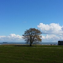 NOMOsWWWBilder_023