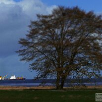 NOMOsWWWBilder_024