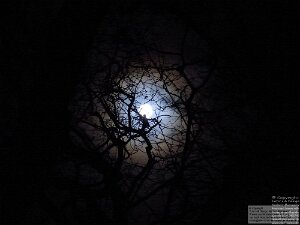 Moon