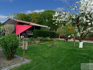 der Garten