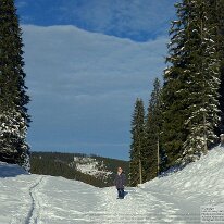 NOMOsWWWBilder_125